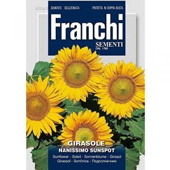 Prodotto: Semi Girasole Nanissimo Sunspot 3