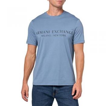 ARMANI EXCHANGE Herren T-Shirt in Blaugrau