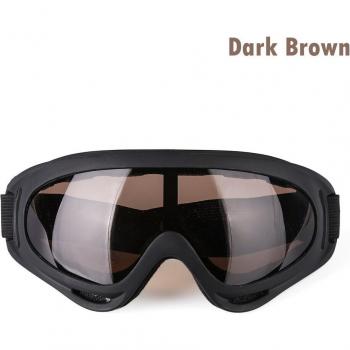 Dustproof Ski Eyewear