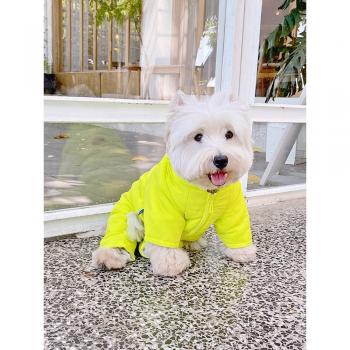 Winter Dog Clothing