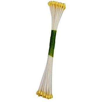 Etamines pour Fleurs Ivoire 50 pièces