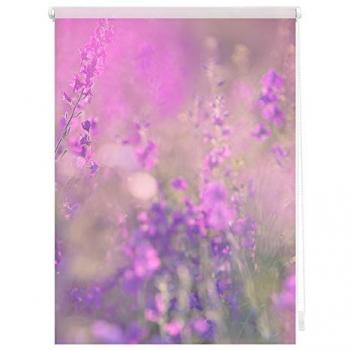 Seitenzugrollo Klemmfix, ohne Bohren, Blumenwiese, LICHTBLICK ORIGINAL