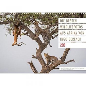Emotionale Momente: Die besten Wildlifefotos aus Afrika.