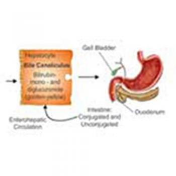 Vitalsource Technologies, Inc. Estimation of Serum Bilirubin