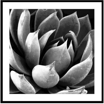 Quadro Verde Lily