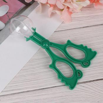 DIY Craft Bug Catching Tool for Kids