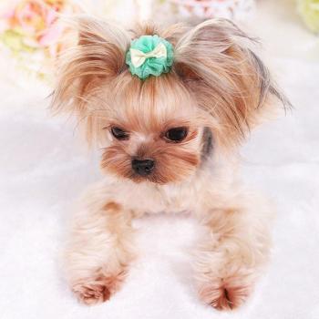 VIP Dog Hairpin