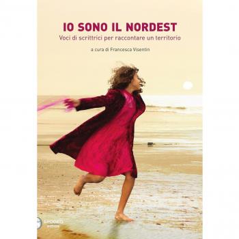 Io sono il Nordest. Voci di scrittrici per raccontare un territorio