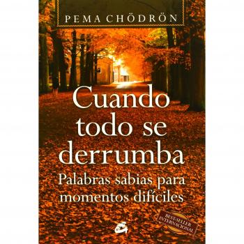 CUANDO TODO SE DERRUMBA