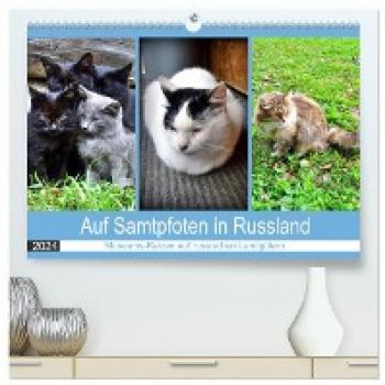 Premium Wandkalender 2024 Museums-Katzen in Russland