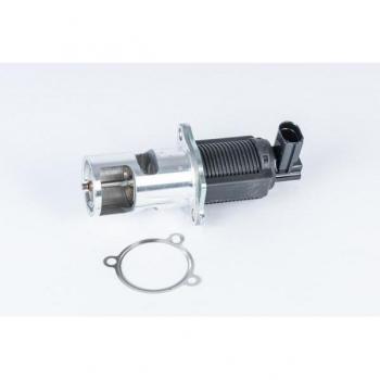Vanne à Soupape d'Échappement (EGR) Wahler 710723D