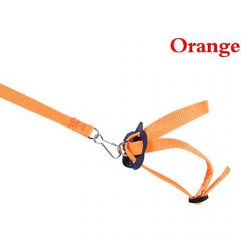 Adjustable Outdoor Harness and Leash for Parrots