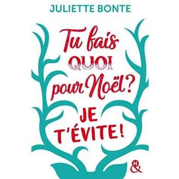 Tu fais quoi pour Noël ? Je t'évite ! Grand Format