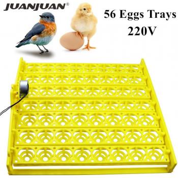 Automatic Hatching Machine for 56 Eggs