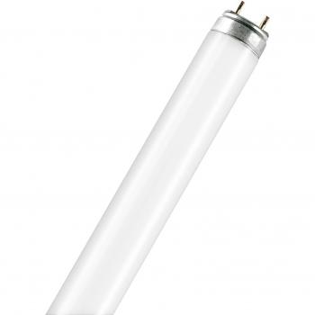 Osram T8 77mm G13 Lampada Fluorescente