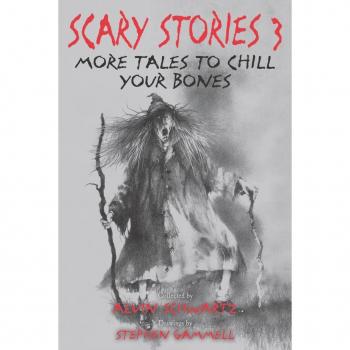 Scary Stories 3