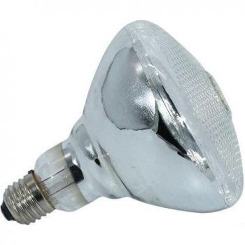 220V Warm Light Infrared Heating Lamp for Reptiles and Pets