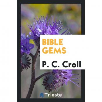 Bible gems