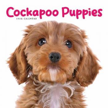 Cockapoo Puppies Square Mini Calendar 20