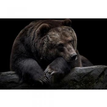 Art Imprimé Ours du Kamtchatka 65x97 cm