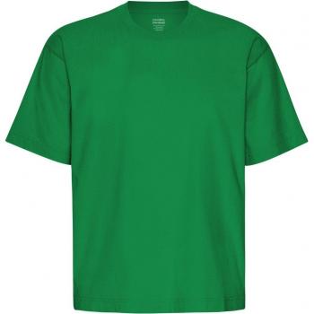 Camiseta Holgada Verde Kelly Eco-Friendly Colorful Standard
