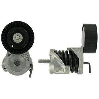 Cinghia Poly‑V Rullo Tenditore VKM 38343 – SKF