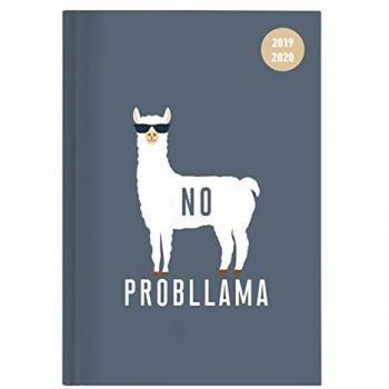 Collegetimer Llama 2019/2020