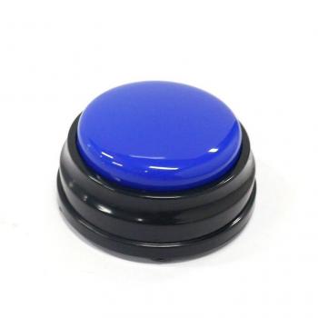 Kids Sound Recording Button