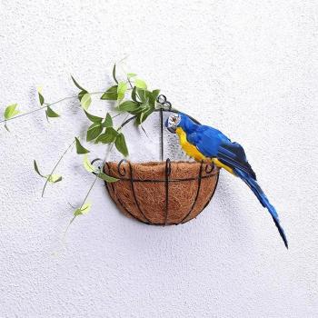 Gardening Decorative Parrot