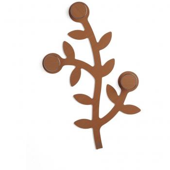 FOPPA APPENDIALBERO NOCE