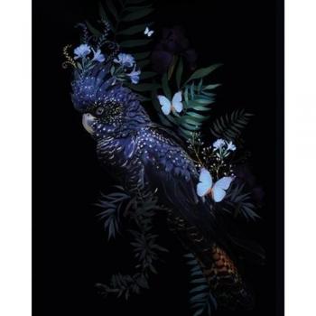 Zomer Thornton Kakadu Kunstprint 50cm x zwart