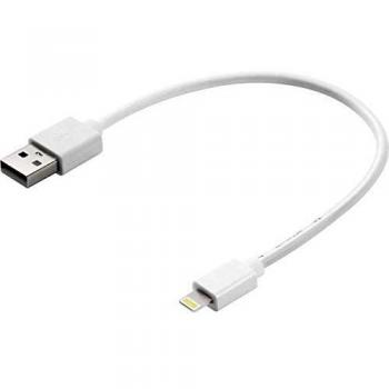 Câble de charge et synchronisation Lightning vers USB, certifié MFi, 20 cm, blanc