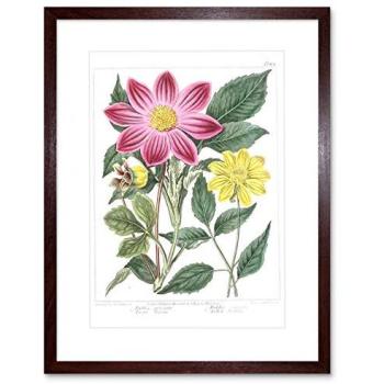 Blooming Purple & Gold Dahlia Canvas – 9x7”