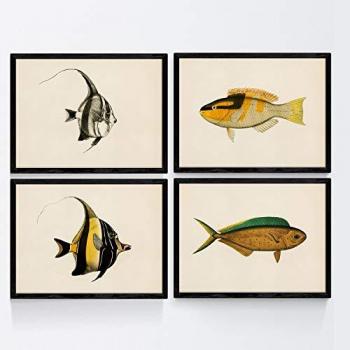 Láminas Vintage de Peces Coloridos