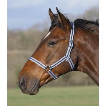 Shires Wessex Full Size Two Tone Headcollar in All Colors