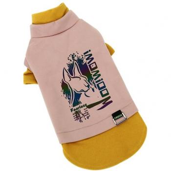 Costume de Noël pour Sphynx HOOPET – vêtements d'automne et d'hiver pour animaux de compagnie