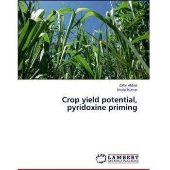 Crop yield potential, pyridoxine priming