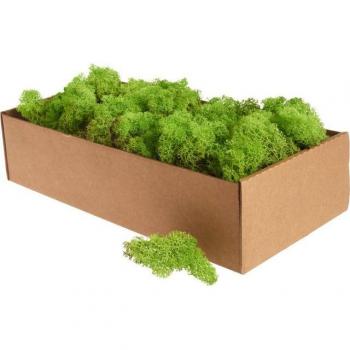 Othmar Decorations Moos, 400 g