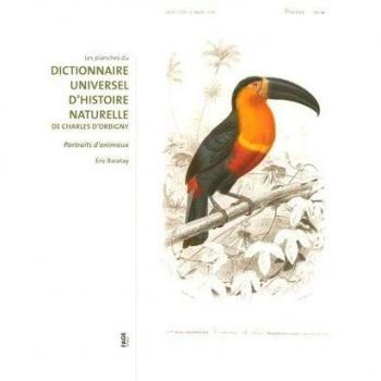 Les planches du Dictionnaire universel d'histoire naturelle de Charles d'Orbigny : Portraits d'animaux