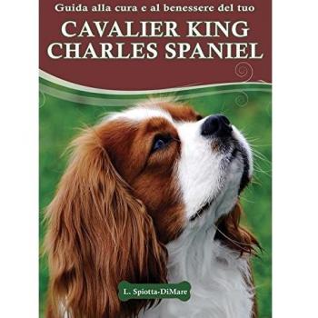 Guida alla cura e al benessere del tuo Cavalier King Charles Spaniel