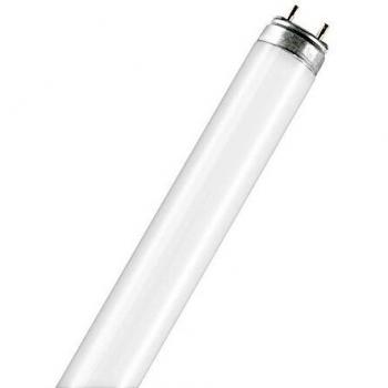 GE Profoto T8 G13 L18W/77