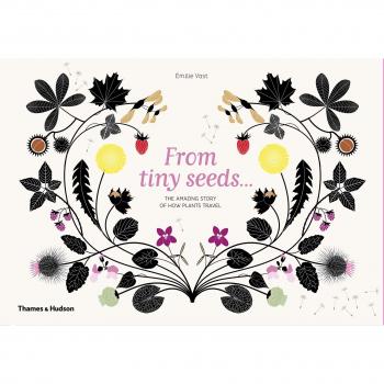 From Tiny Seeds