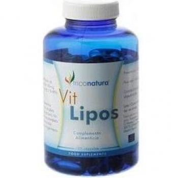 Infutisa Ginkgo Biloba 25‑Gefiltert