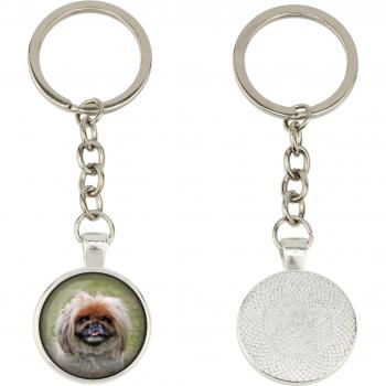 Chavéz Peke Fotográfico – Estilo Art‑Dog