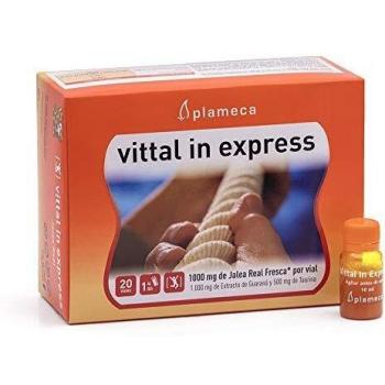Plameca Vittal In Express 20x10ml