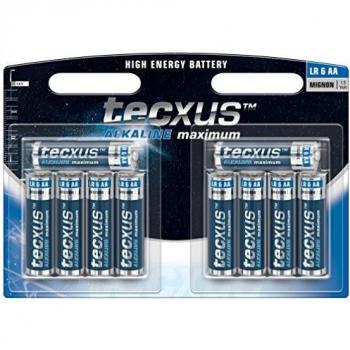 PILAS ALCALINAS TECXUS AA (8 + 2 GRATIS) LR 06 10-BL