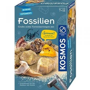 KOSMOS Fossil Digging Science Kit
