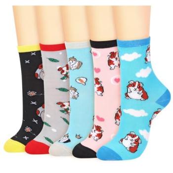 Vinsani 5‑Pack Guinea Pig Slippers