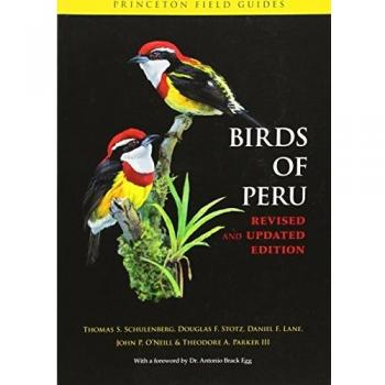 Birds of Peru: 63