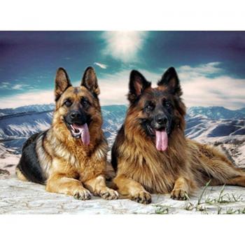 Diamant Mozaïek Schilderen Twee Honden 20X30CM